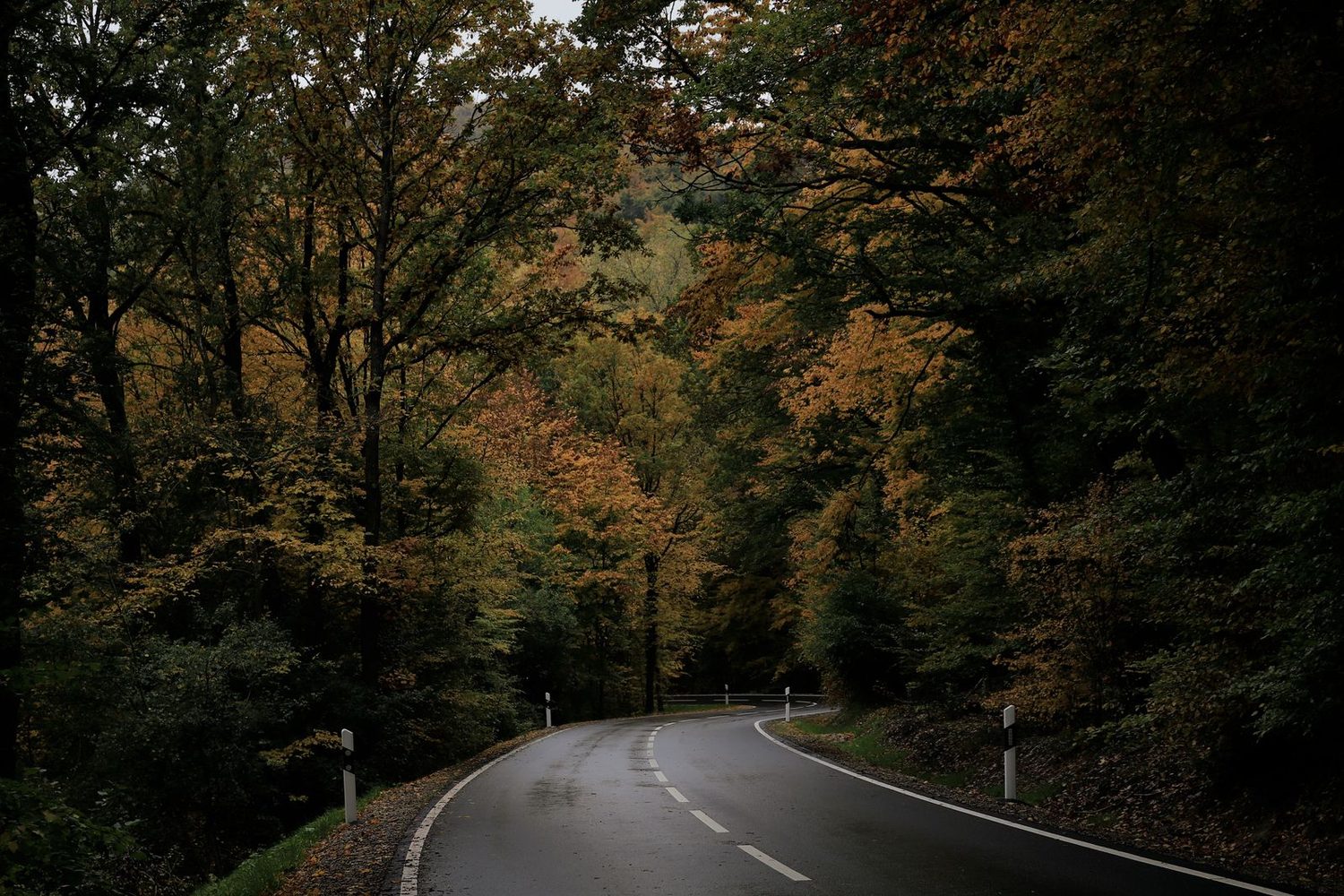 Route d'automne dans les Laurentides